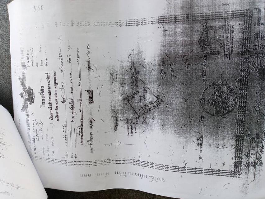 ที่ดินลำปางแถวห้างฉัตรพร้อมฟาร์มม้า 3