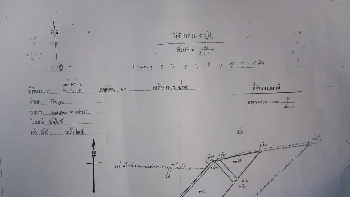 ที่ดินสวยแปลงใหญ่ บางเลน 1