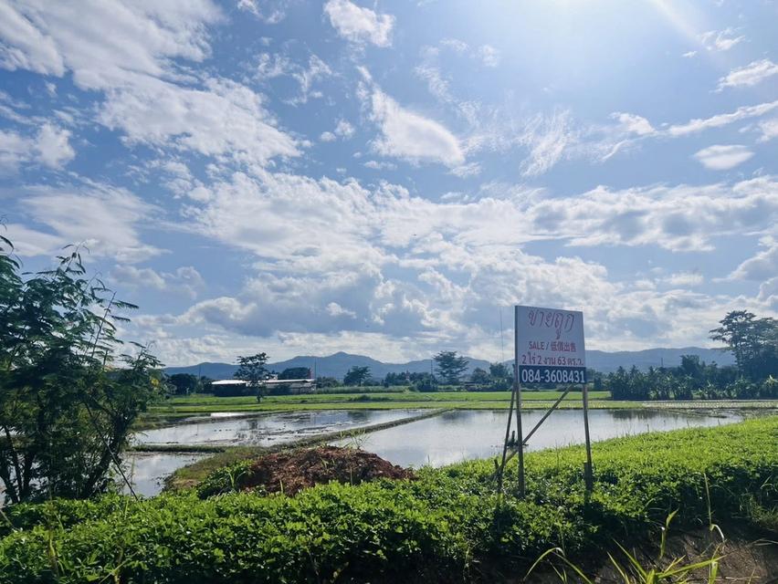 ขายที่ดิน เวียงป่าเป้า เชียงราย 2-2-63 ตร.ว. 14