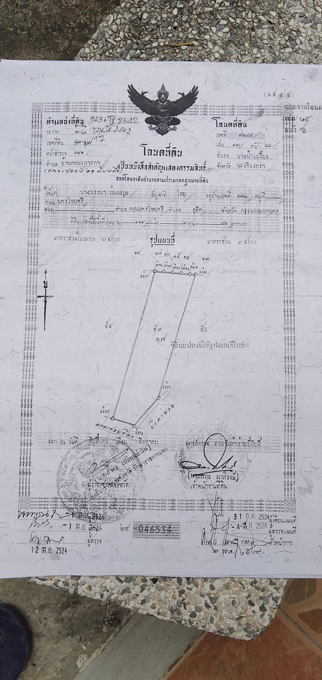 ขายที่ดิน คลอง 21 อำเภอบางน้ำเปรี้ยว จังหวัดฉะเชิงเทรา 1