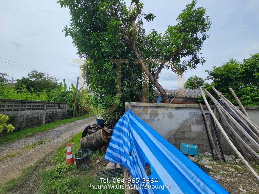 ขายที่ดินถมแล้ว 100 ตร.ว. ซอยหนองระแหง 4 คลองสามวา แปลงสวย ทรงสี่เหลี่ยมจัตุรัส เหมาะสำหรับสร้างบ้านอยู่อาศัย 7