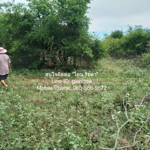 ขายที่ดินบ้านทุ่งเคล็ด แก่งกระจาน จ.เพชรบุรี 17-2-96.4 ไร่ (ห่างทางหลวง 3501 800 ม.), ราคา 8 ล้านบาท 3