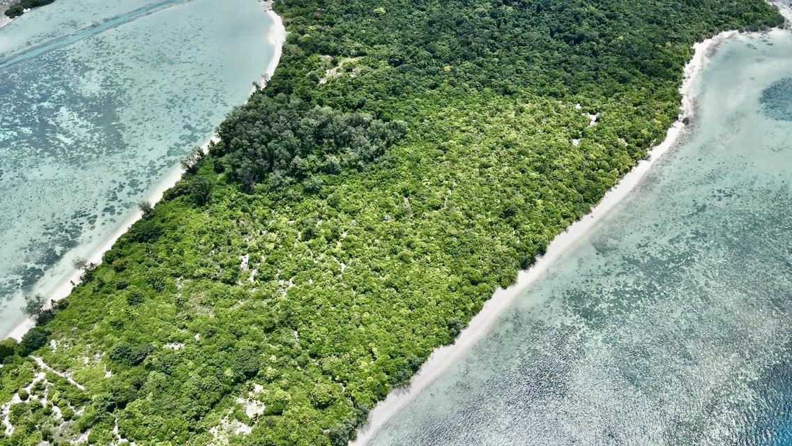 ที่ดินเกาะราบ ใกล้กับเกาะสมุย เดินทางด้วยเรือ หางยาว เรือสปีดโบ๊ท 15