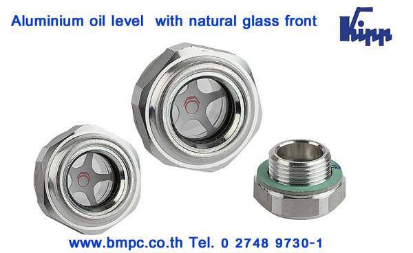Steel oil level gauge แท่งมองระดับน้ำมัน, Amecoil, Schnorr, Fujilock