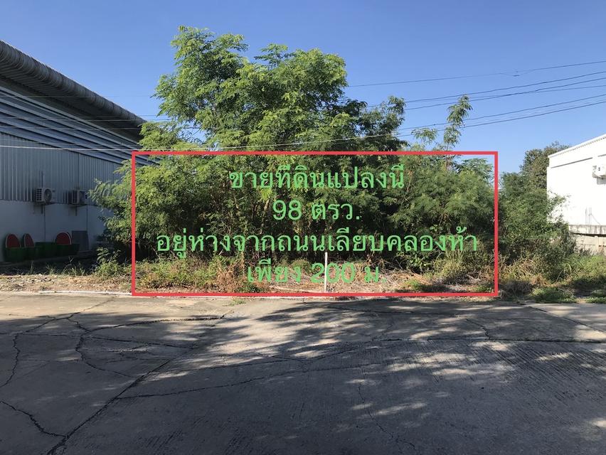 ขายที่ดินเปล่าสวย 98 ตรว.ห่างจากถนนเลียบคลองห้า เพียง 200 ม. 1