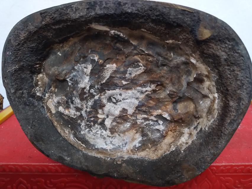 พระบูชาหน้าตัก5นิ้วสูง15นิ้ว รูปที่ 3