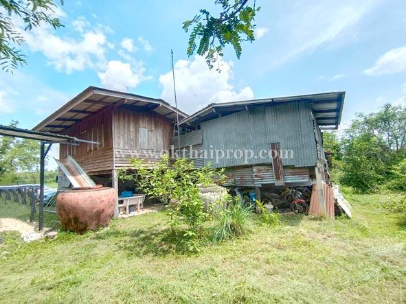 ที่ดินพร้อมสิ่งปลูกสร้าง ต.นาวังหิน อ.พนัสนิคม จ.ชลบุรี 1