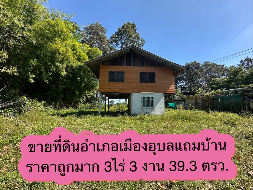 ขายด่วนที่ดินแถมบ้าน อำเภอเมืองอุบลราชธานี ใกล้สนามบินอุบล 1