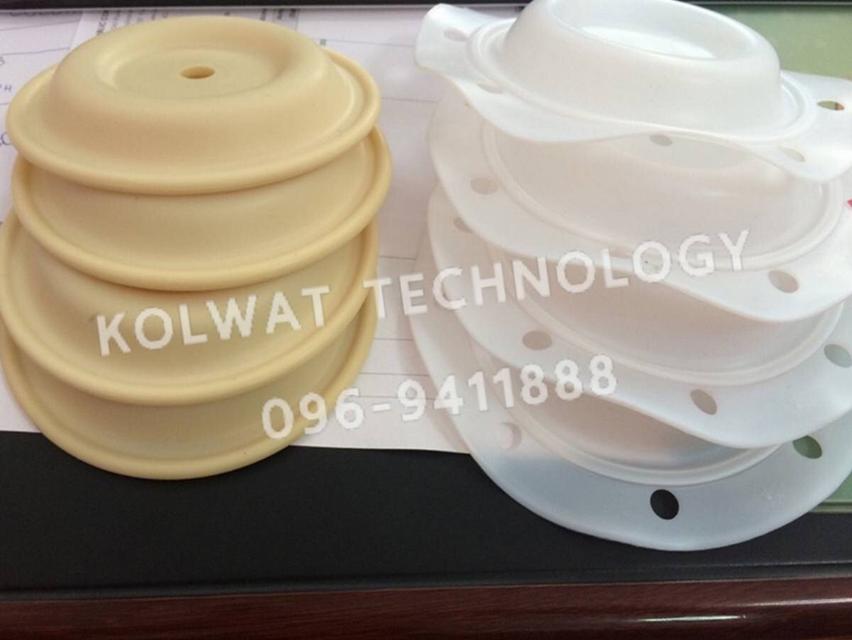 อะไหล่ปั๊มไดอะแฟรมทุกชนิด