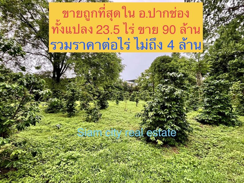 ทีดินพร้อมสิ่งปลูกสร้าง เป็นสำนักงาน โกดังสินค้า บ้านพักคนงาน และสวนผลไม้ 5