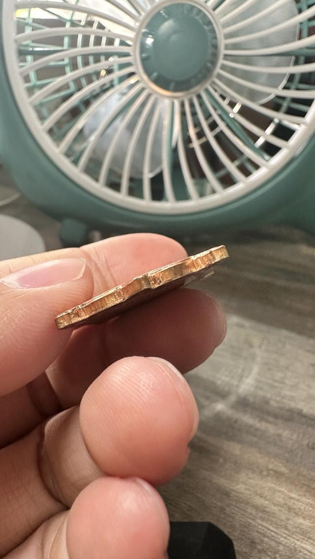 เหรียญเต่าหลวงพ่อหลิว รุ่น รวย รวย รวย รูปที่ 3