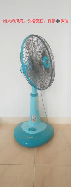 big fan,