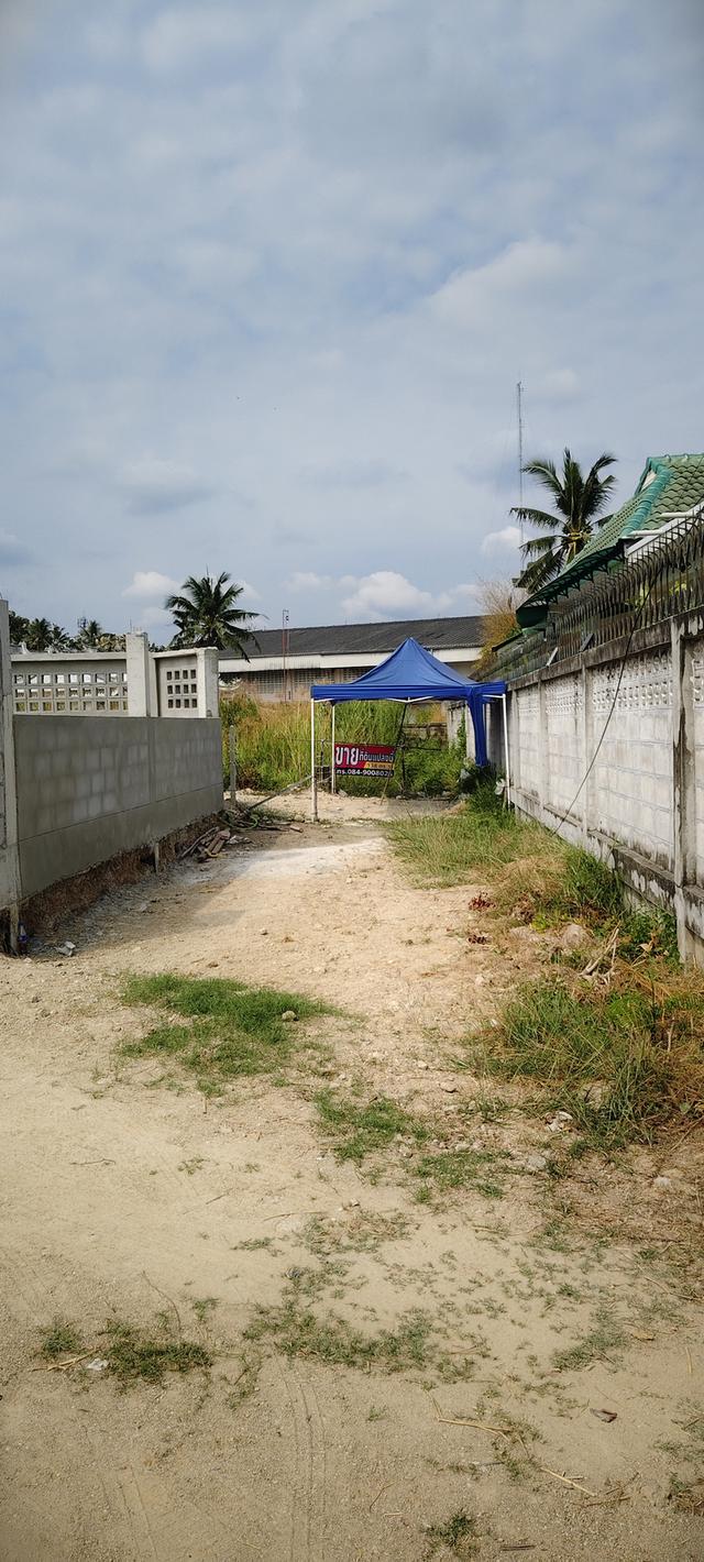 ที่ดินประจวบซอยประจวบศิริ1 2