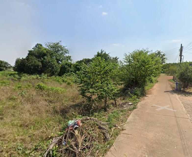 ขายที่ดินหนองตารอด บ้านซ่อง 22 ไร่ ใกล้ถนนสี่เลนเส้น319-900เมตร อ.พนมสารคาม ฉะเชิงเทรา 6