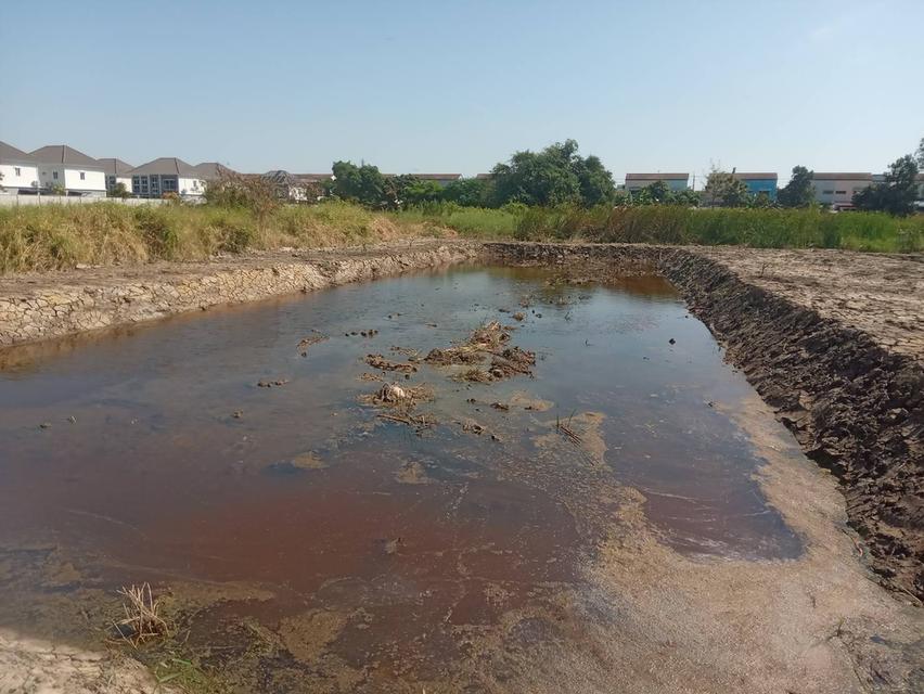 ขายที่ดินเปล่า 525 ตรว. ติดถนนคอนกรีต ซอยเทศบาลบางปู 83 10