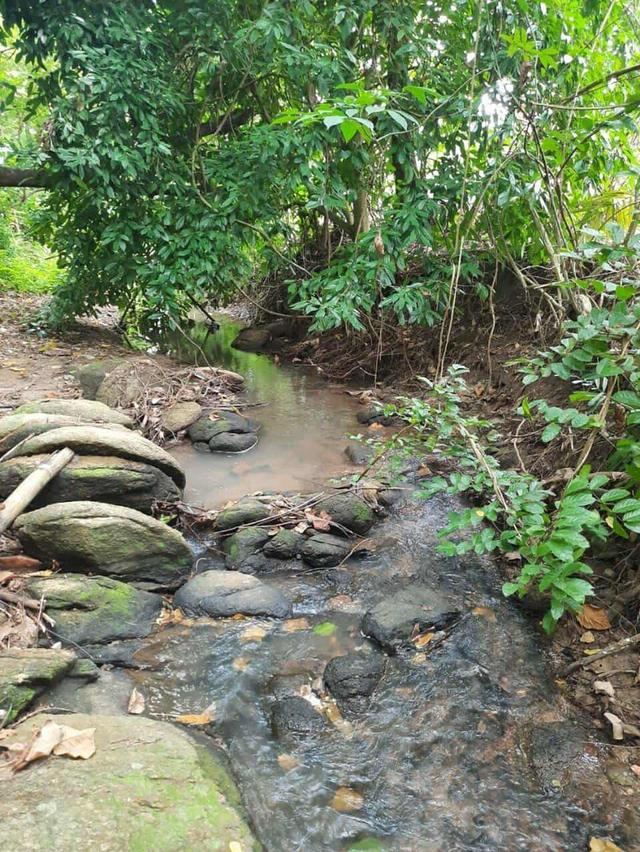 ที่ดินวิวเขาติดลำธาร ระยอง 3
