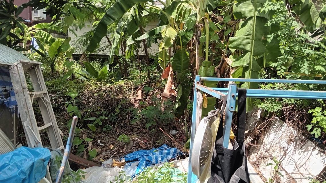 ที่ดินเปล่า 18 ตรว. ซอยพหลโยธิน 52 ซอยชุมชนรวมใจสามัคคี 5
