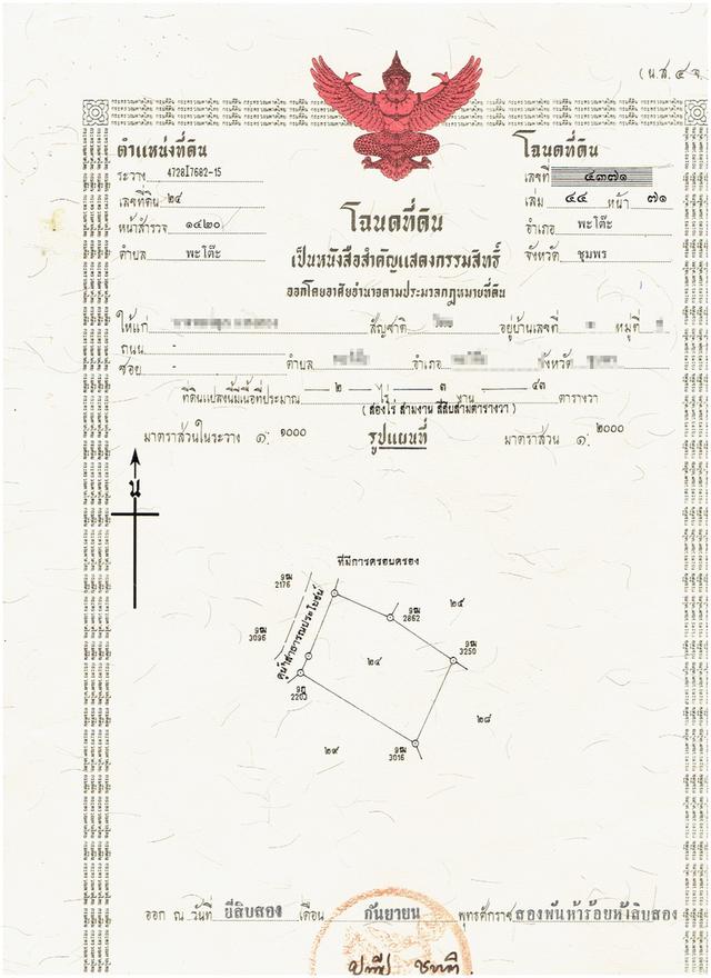 ประกาศขายที่ดินสวนปาล์ม เนื้อที่5ไร่ 2โฉนด ต.พะโต๊ะ อ.พะโต๊ะ จ.ชุมพร 4