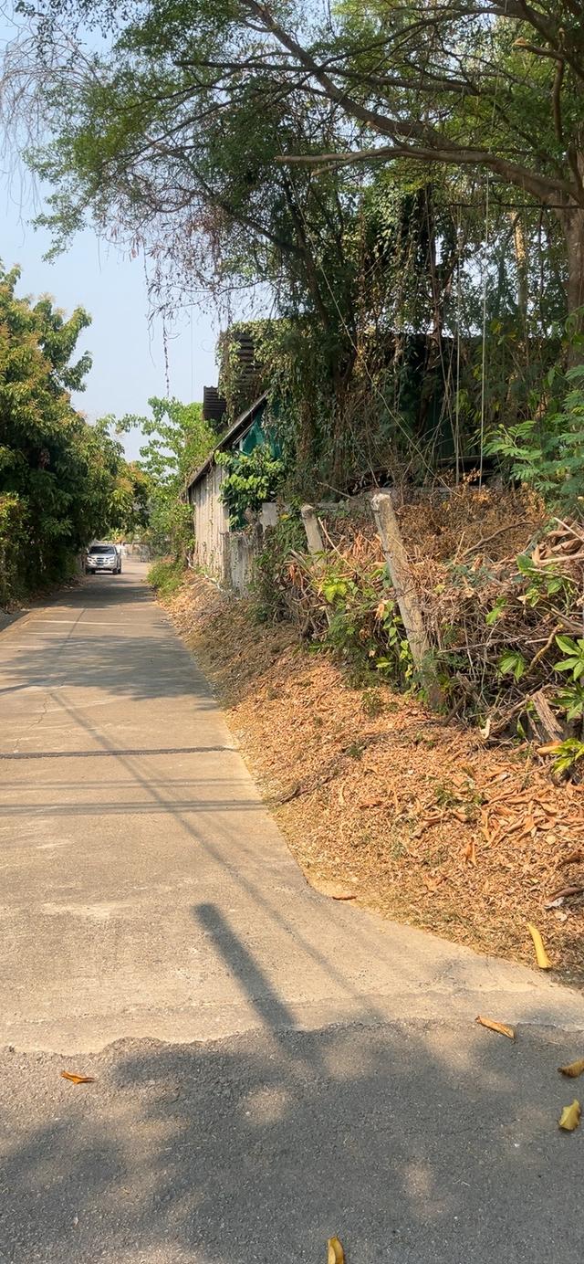 ที่ดินลำพูน อำเภอเมือง ติดถนนสันเหมืองเหนือ 6