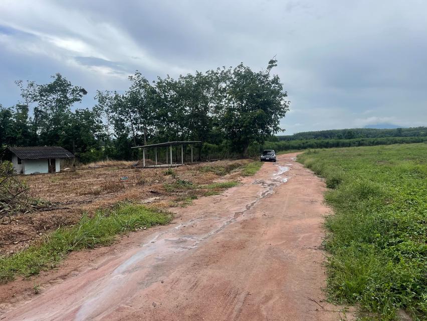 ที่ดินเปล่า อำเภอบ้านค่าย ระยอง 3