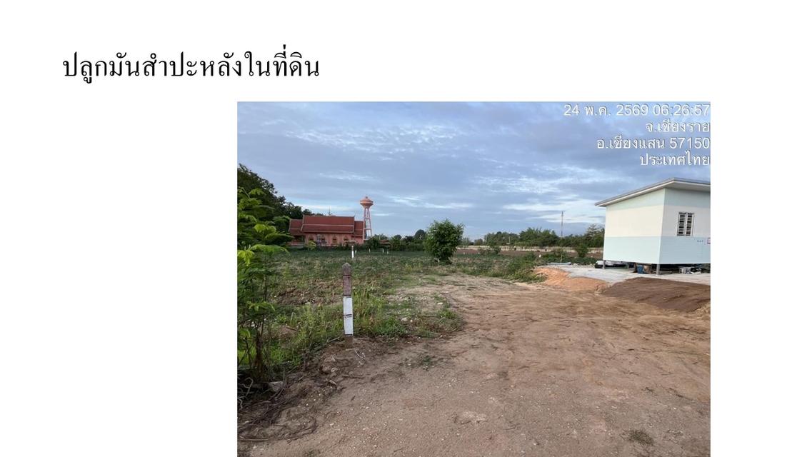ที่ดินริมน้ำโขง อ.เชียงแสน เชียงราย 2 ไร่ 5 ลบ. แบ่งได้ อยู่อาศัย/รีสอร์ท/ ท่าเรือ /อื่นๆ (รวมทั้งโฉนดเดิม 4 ไร่ ขาย 10 ล.) 12