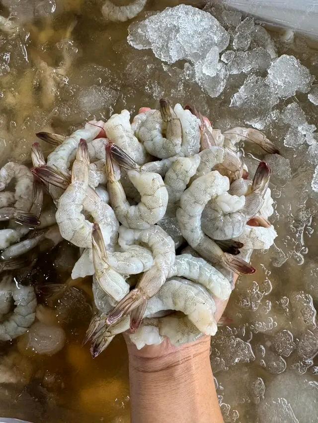 กุ้งขาว แกะเรียบร้อย 3