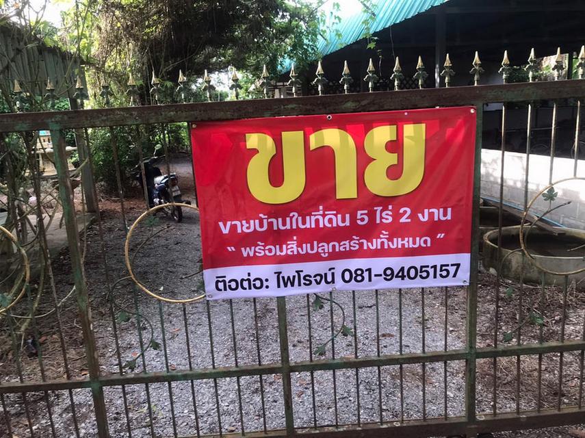 ขายที่ดินพร้อมบ้าน 5.5 ไร่ หมู่8 ตำบลสองสลึง อำเภอแกลง จังหวัดระยอง ห่างจากถนนสุขุมวิท เพียง 100 เมตร 1