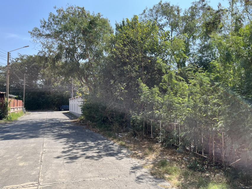 ขายที่ดินถมแล้ว 186 ตรว. ในหมู่บ้านศศิกานต์แลนด์ ซ.พิชัยณรงค์สงคราม37 อ.เมืองสระบุรี สระบุรี ใกล้แหล่งชุมชน เหมาะสร้างหอพัก สำนักงาน บ้านพัก อื่นๆ 2