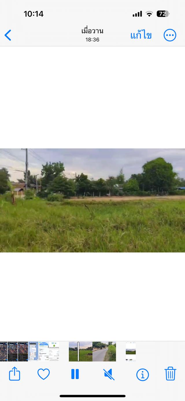 ที่ดินเปล่า 9