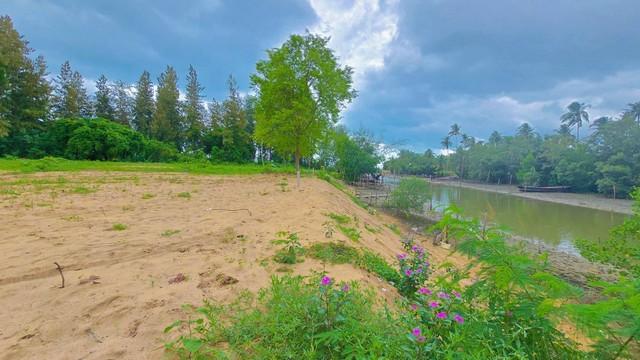 ที่ดินหาดบ้านหนองบัว ชุมพรทำเลดีเดินทางสะดวก 2 แปลงสุดท้ายราคาพิเศษเริ่มต้น 990,000 บ. 4