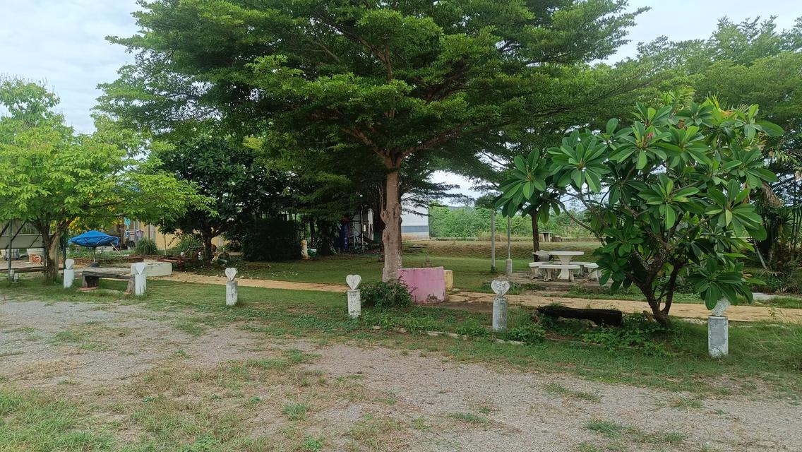 บ้านและที่ดิน3.1ไร่ ราชบุรี