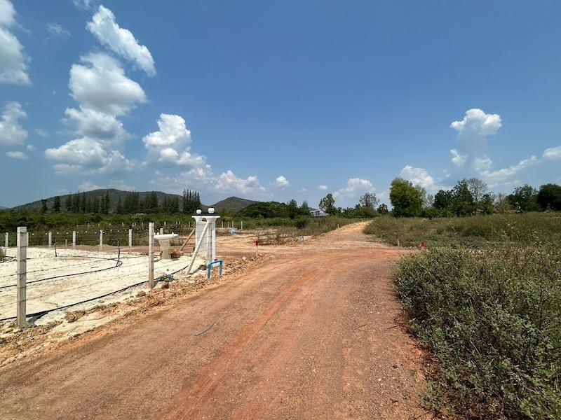 ที่ดิน Valley View แก่งกระจาน  เพชรบุรี สด ผ่อนได้ 19