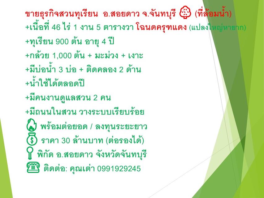 ธุรกิจสวนทุเรียนที่ดินพร้อมสวน 7