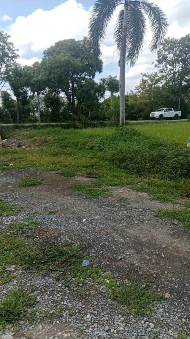 ที่ดินพร้อมบ้านที่ดินสวย บรยากาศดี ถมแล้ว 2ไร่ + บ้าน 1หลัง ติดถนนซอยแยก ซอยวัดลาดปลาดุก เดินทางสะดวกไปเซ็นทรัลเวสเกต กาญจนาภิเษก ไทรน้อย ไทรใหญ่ 2