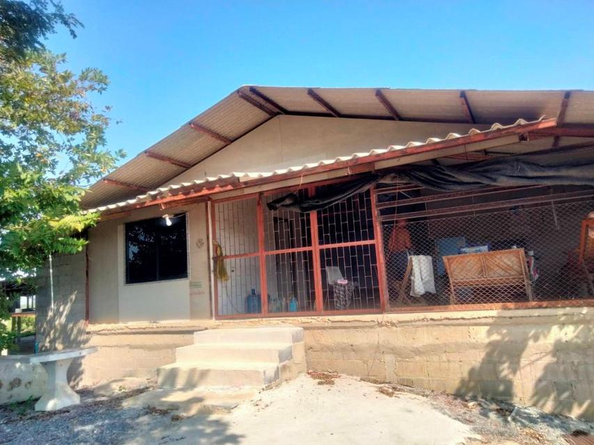 ให้เช่าพื้นที่เป็นอาคารเปิดโล่ง 250 ตร.ม. พร้อมบ้านเดี่ยว 1 หลัง อยู่ท่ามกลางสวนไร่นา บรรยากาศดีมาก ตำบลดอนพุด สระบุรี 1