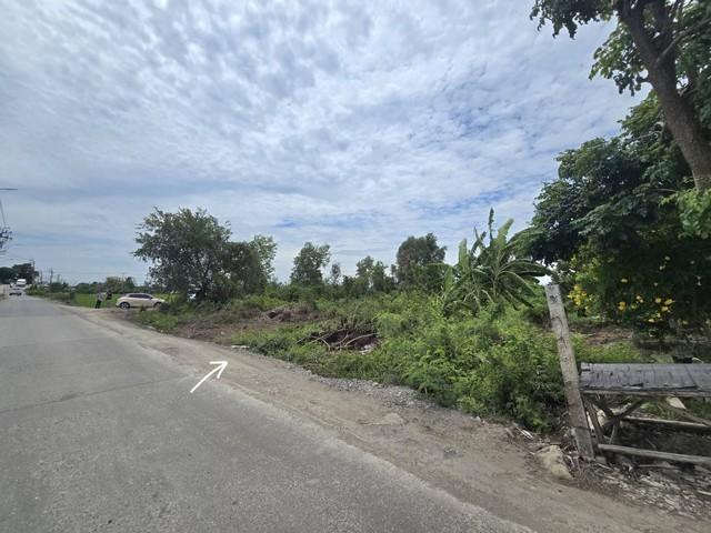 2394 ขาย ที่ดิน ที่ดิน บางบ่อ ชั้นทั้งหมด 1 ชั้น ใกล้กับ นิคมอุตสาหกรรมเวลโกรว์ ชั้นที่ 1 18000000 บาท 7