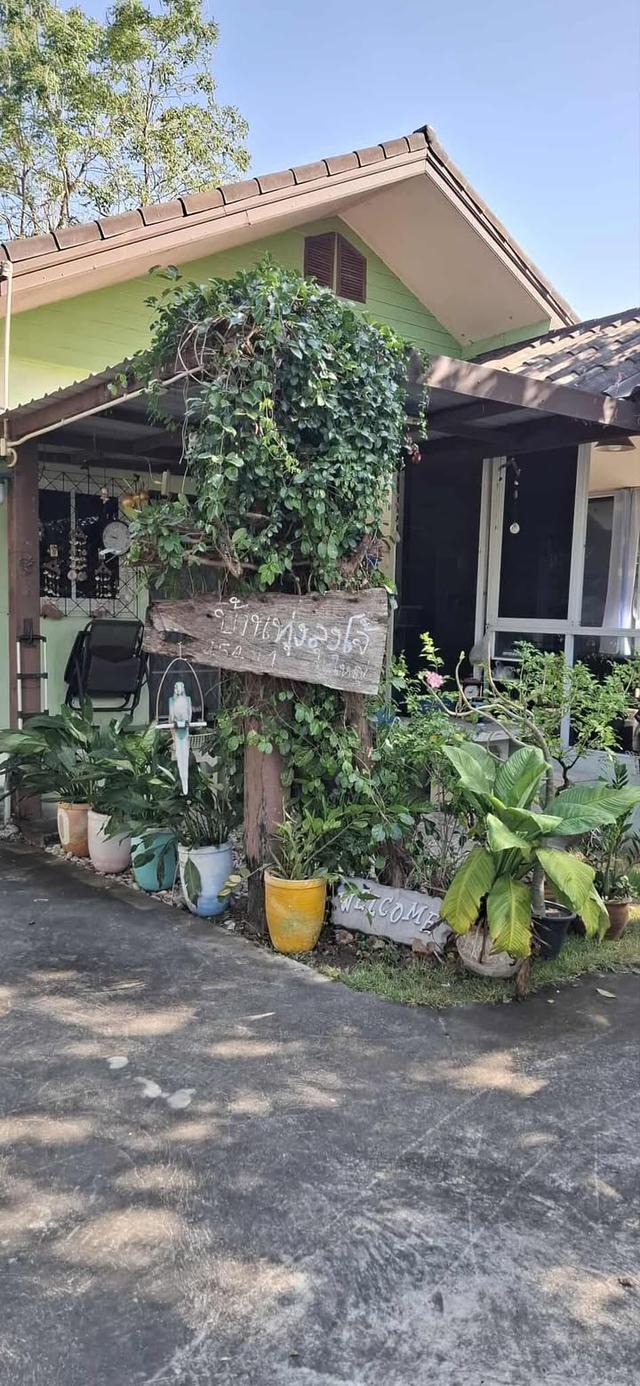 5 ไร่ ทางเข้าไทวัสดุ  โคราช บายพาส ปักธงชัย - จอหอ  9.8 ล้าน 6