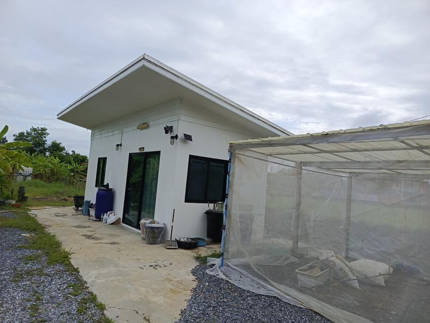 ขายที่ดิน 6