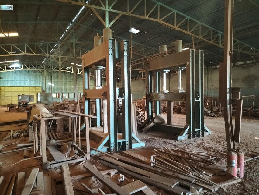 กิจการโรงไม้พร้อมเครื่องจักรทำไม้ 3