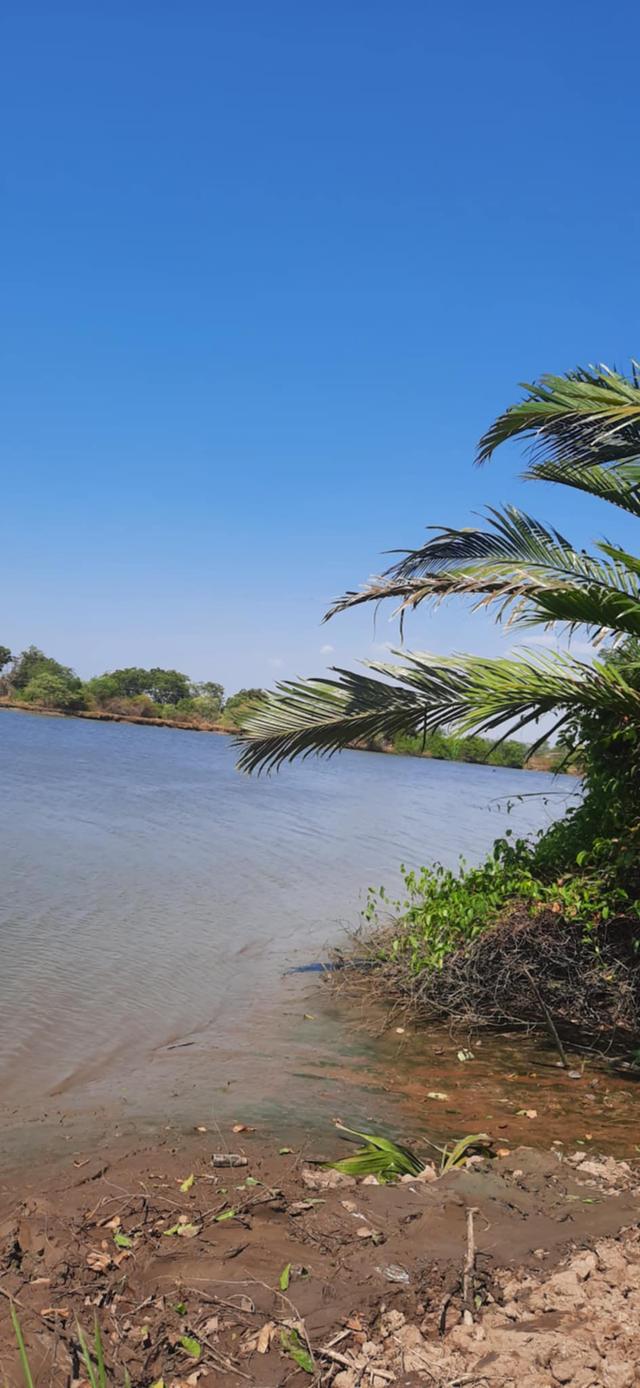 ที่ดินติดแม่น้ำบางปะกง บางกะเจ็ด/คลองเขื่อน 50 ไร่ 10