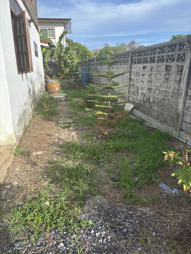 บ้านเก่า + ที่ดินทำเลดี ราคาหลักล้านบ้านอาจไม่ใหม่ แต่ที่ดินหายาก 6