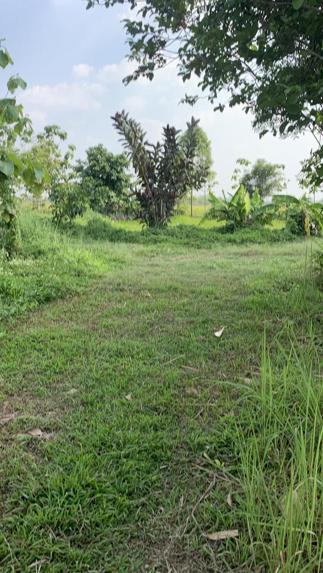 ที่ดินโคกหนองนา3.5 ไร่ 4