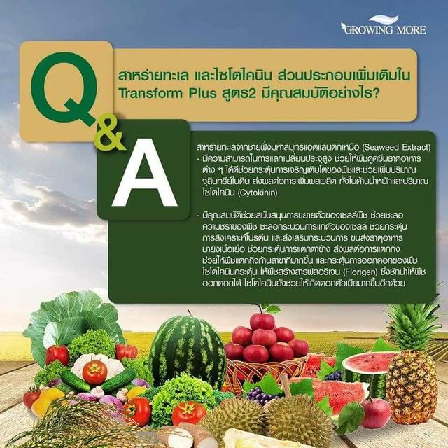 เอสโอดี.อาหารเสริมเป็นน้ำผลไม้ 15