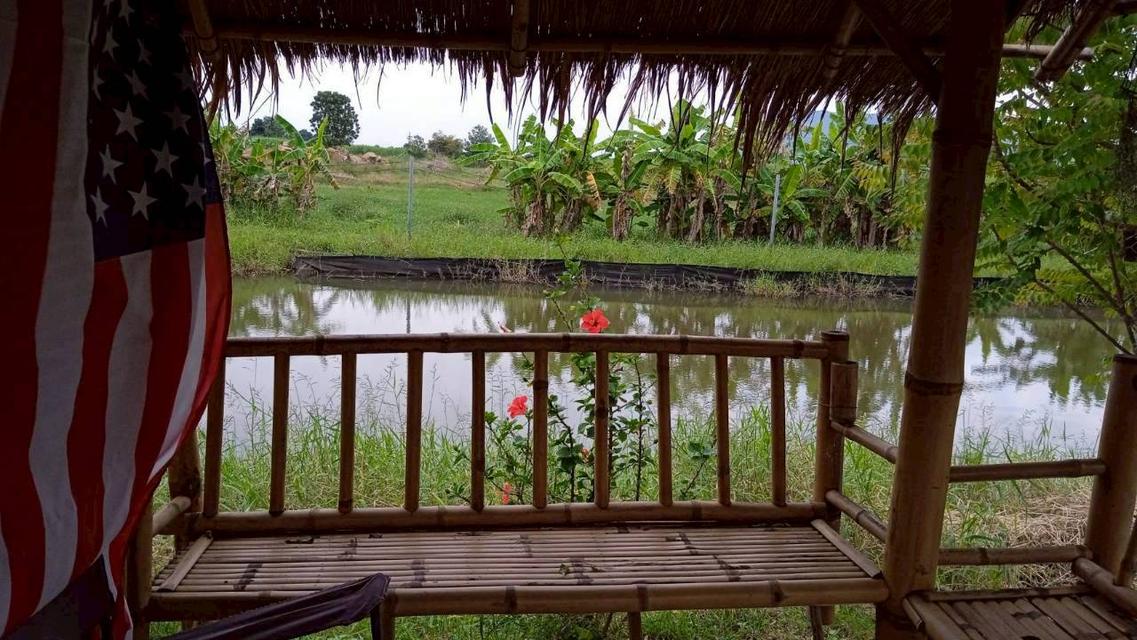 ขายที่ดินทางเลือก (ภบท5) ราคาจับต้องง่าย. ( 612บ./ ตร.วา ) ( 20 ไร่. : 4.9 ล้าน ) | ซื้อขาย เปลี่ยนชื่อได้ : พื้นที่. ปลอดภัยฯ หายห่วง | อากาศบริสุทธิ 10