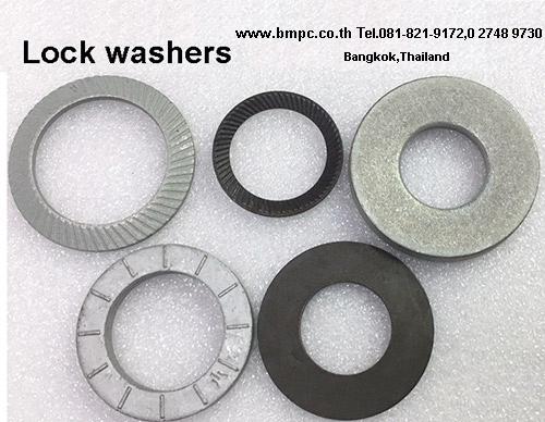 Disclock washer, Wedge lock washer, แหวนคู่กันคลาย, Anti vibration washer, Safety washer รูปที่ 10