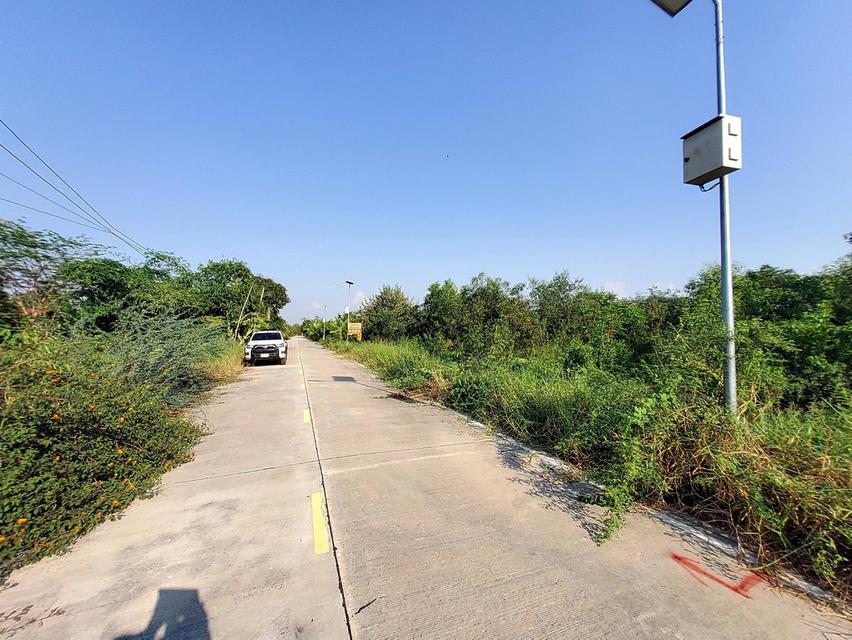 ขายด่วนที่ดินถนนฤชุพันธุ์ 568 ตรว ติดถนนคอนกรีตสาธารณะ ซ.ฤชุพันธุ์ 4 อ.ไทรน้อย จ.นนทบุรี 9