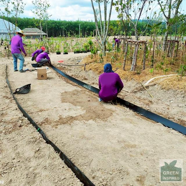 Border Curb รุ่น BL12