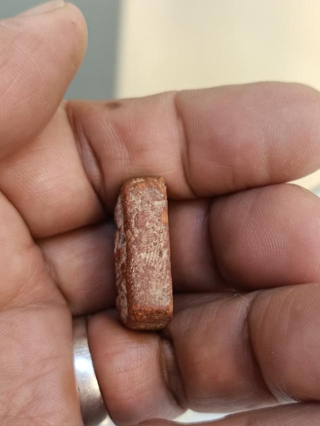 พระหลวงพ่อปาน พิมพ์ขี่นก 7