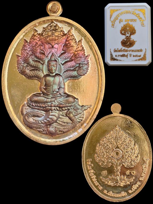 นาคปรกหลวงปู่ศิลา รุ่นมหารวย