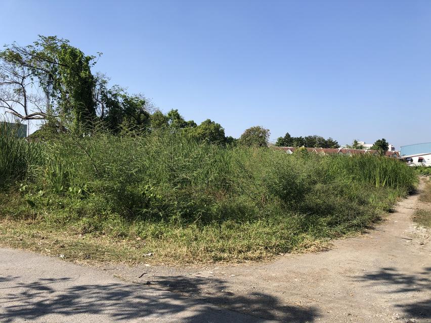 ให้เช่าที่ดินเปล่า 358 ตารางวา 8